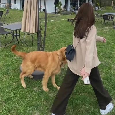 缺席的人