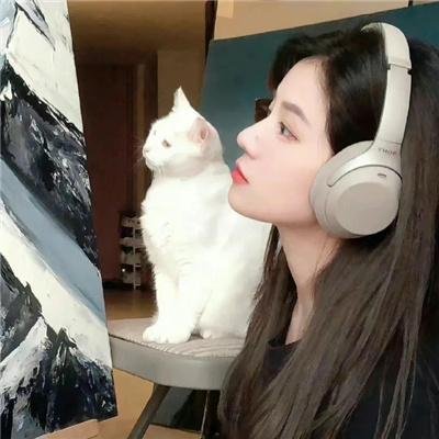 摩登50